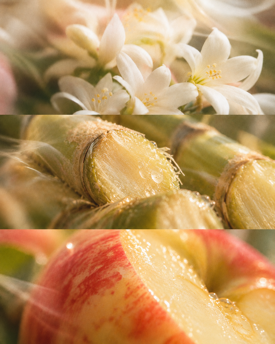 Outbound flavour notes: jasmine, sugar cane, honeycrisp apple