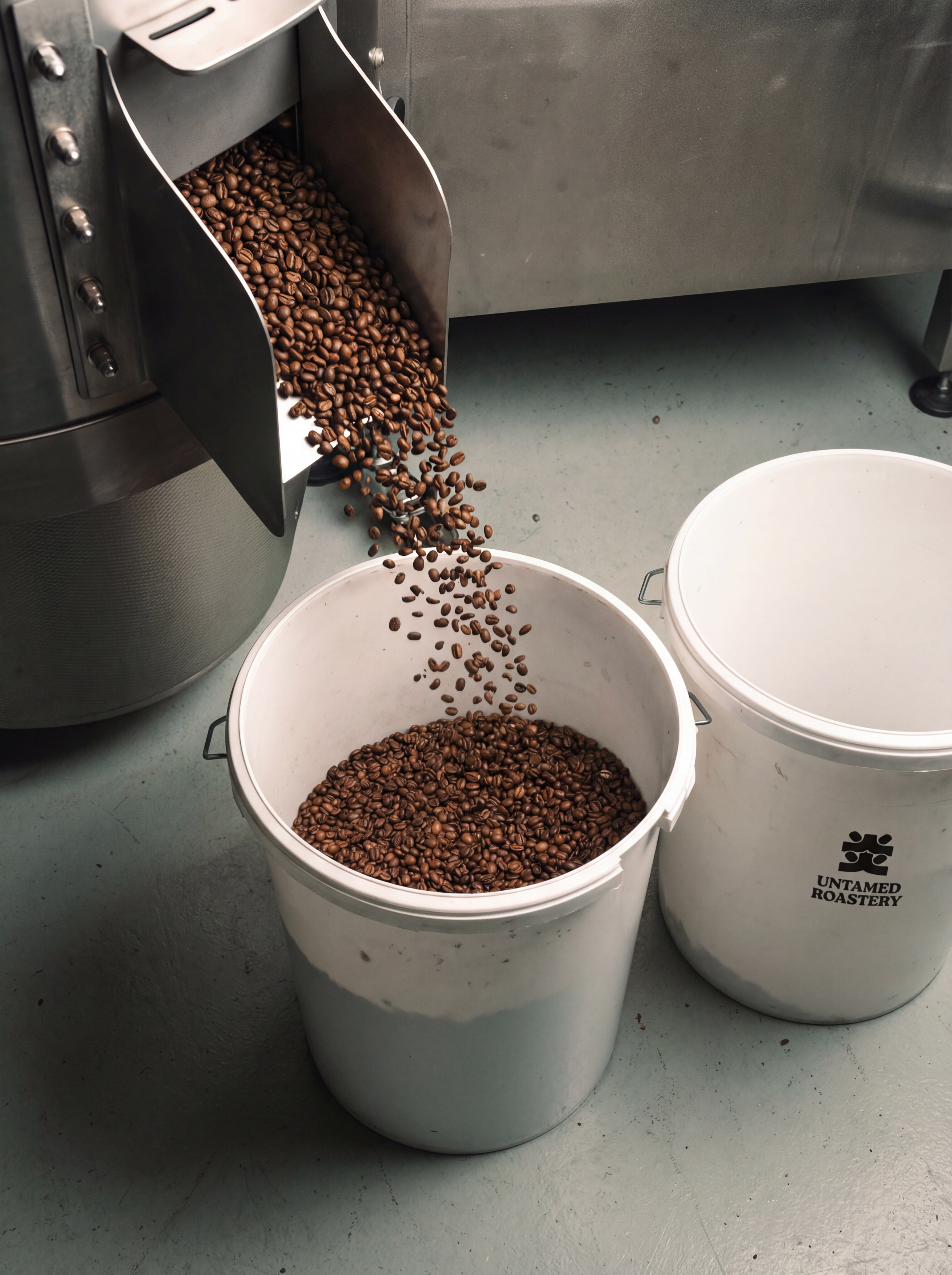 Fresh roasted beans being collected